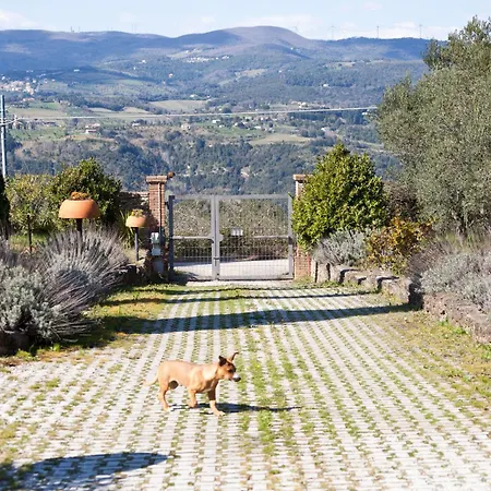 팜스테이 Antico Podere Il Polveraio