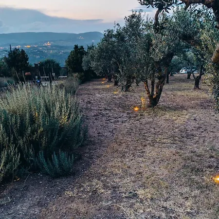 Farm stay Antico Podere Il Polveraio Montescudaio