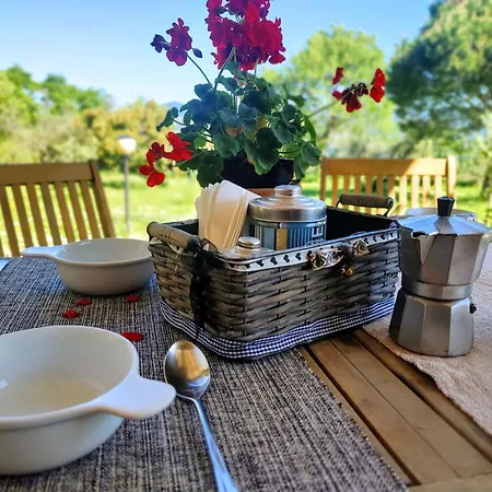Farm stay Antico Podere Il Polveraio Montescudaio