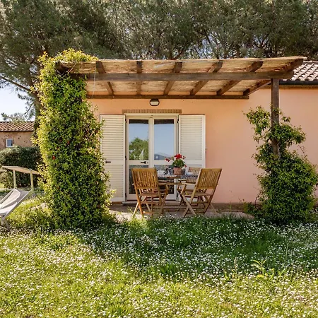 Antico Podere Il Polveraio Farm stay Montescudaio