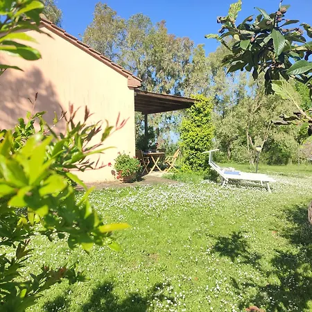 Farm stay Antico Podere Il Polveraio Montescudaio